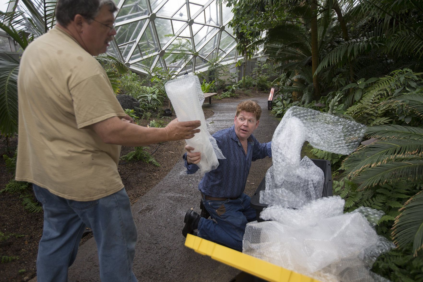 Glass exhibit opens at Missouri Botanical Garden